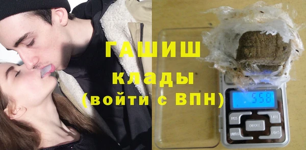 индика Семикаракорск